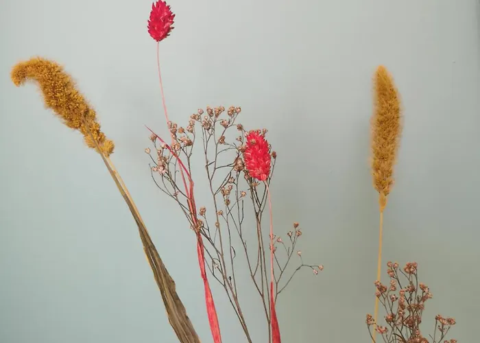 Lovely And Bright In Montmartre * Paris